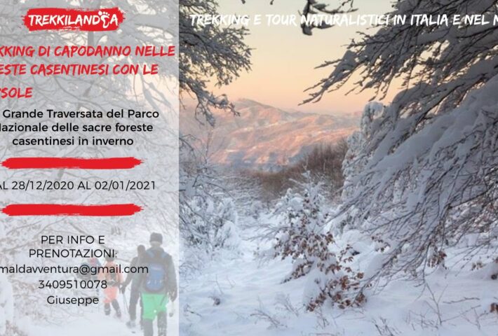 Trekking di Capodanno nelle foreste casentinesi con le ciaspole