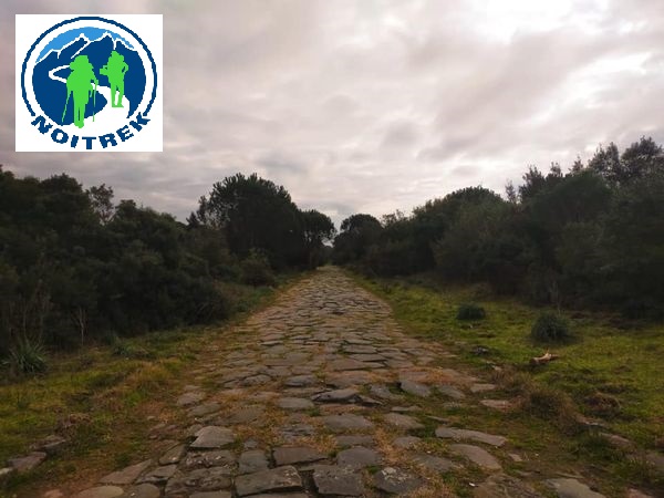 All’ombra dei pini secolari