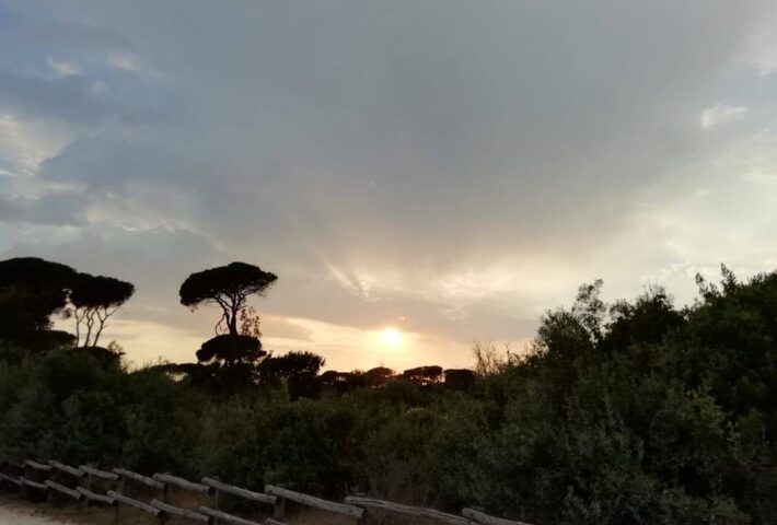 All’ombra dei pini secolari