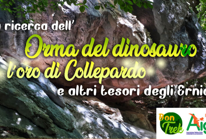 L’orma del dinosauro, l’oro di Collepardo e altri tesori degli Ernici
