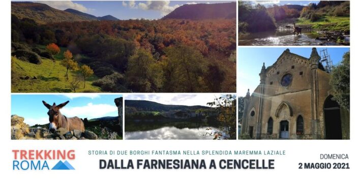 DALLA FARNESIANA A CENCELLE