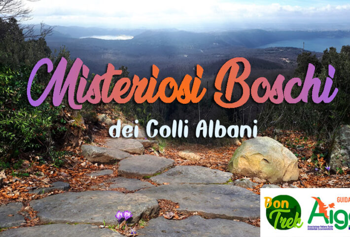 Trekking nei misteriosi boschi dei Colli Albani