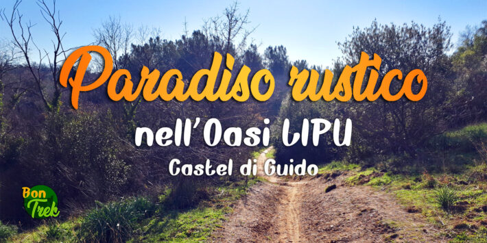 Paradiso rustico nell’Oasi LIPU di Castel di Guido