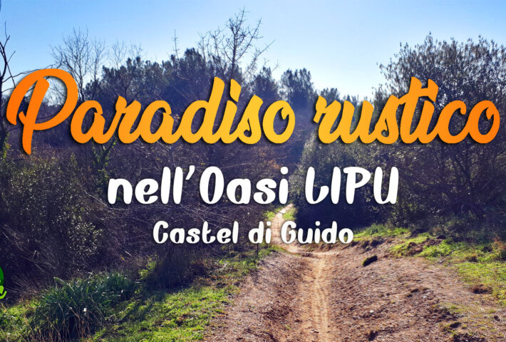 Paradiso rustico nell’Oasi LIPU di Castel di Guido