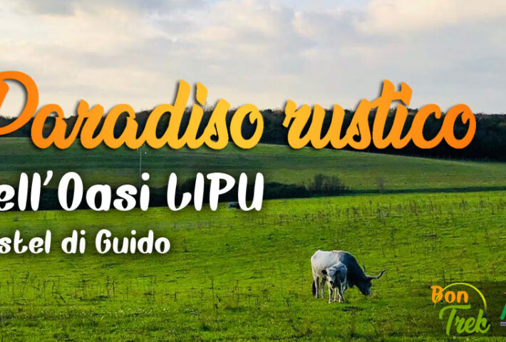 Trekking al Paradiso rustico nell’Oasi LIPU di Castel di Guido