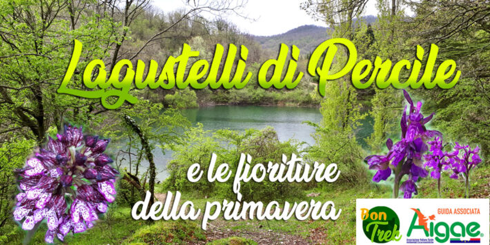 Lagustelli di Percile e le fioriture della primavera