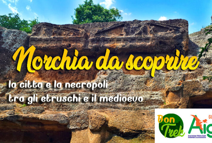 Norchia da scoprire – la città e la necropoli tra gli etruschi e il medioevo