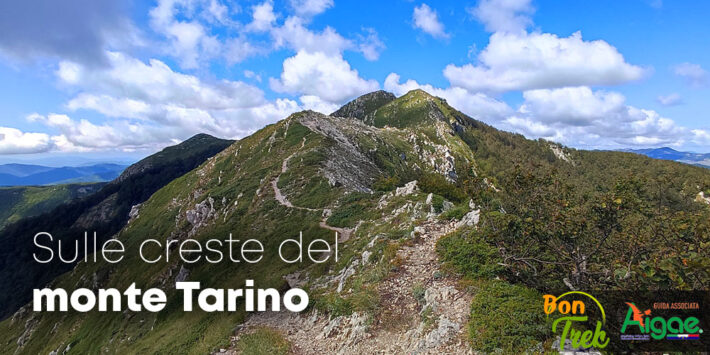 Trekking sulle creste del monte Tarino