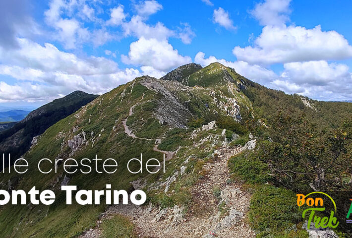 Trekking sulle creste del monte Tarino