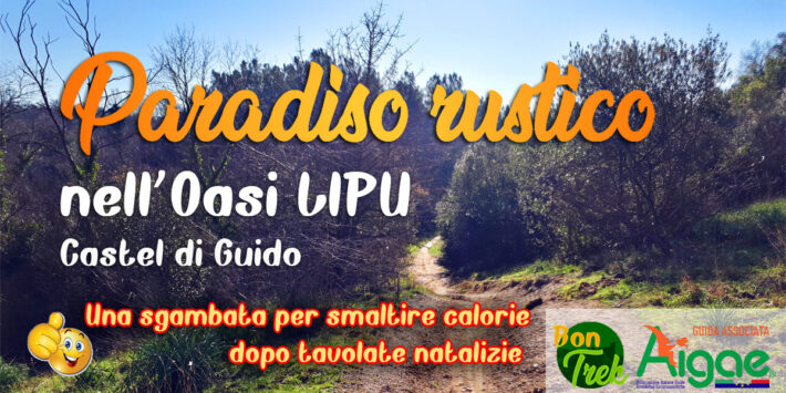 Paradiso rustico nell’Oasi LIPU di Castel di Guido