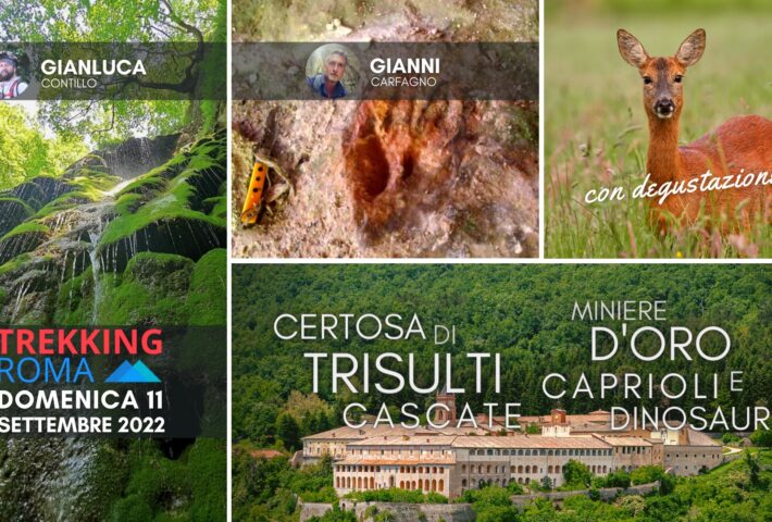 ????????, ???????, ????????, ?’??? ? ? ?????????