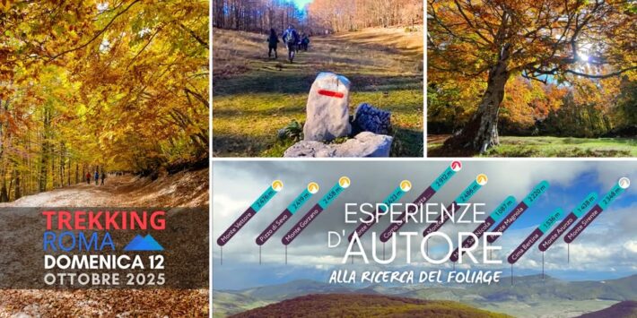 ESPERIENZE D’AUTORE (alla ricerca del foliage)