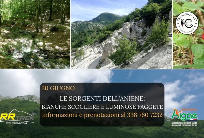 Le Sorgenti dell’Aniene: Bianche Scogliere e Luminose Faggete