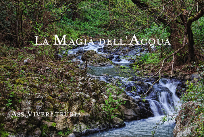 LA MAGIA DELL’ACQUA