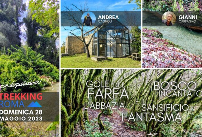 ? GOLE FARFA ⛪ ABBAZIA ? BOSCO INCANTATO con DEGUSTAZIONE