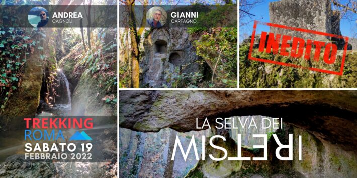 LA SELVA DEI MISꓕƎꓤI