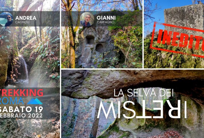 LA SELVA DEI MISꓕƎꓤI