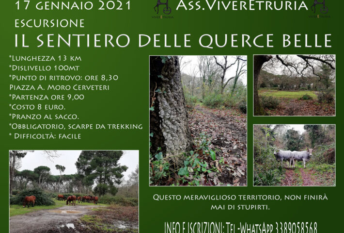 Il sentiero delle querce belle