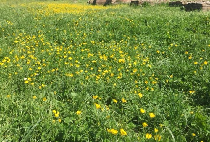 A spasso con gli imperatori