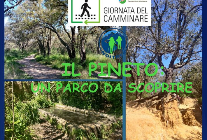 IL PINETO: UN PARCO DA SCOPRIRE. GIORNATA NAZIONALE DEL CAMMINARE