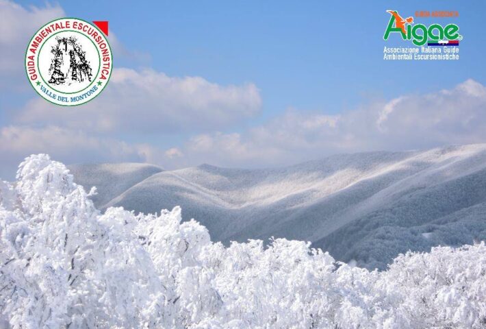 Trekking Ciaspolata – Tosco-Romagnole