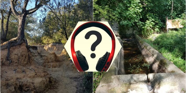 Trekking Urbano al Pineto (Roma)