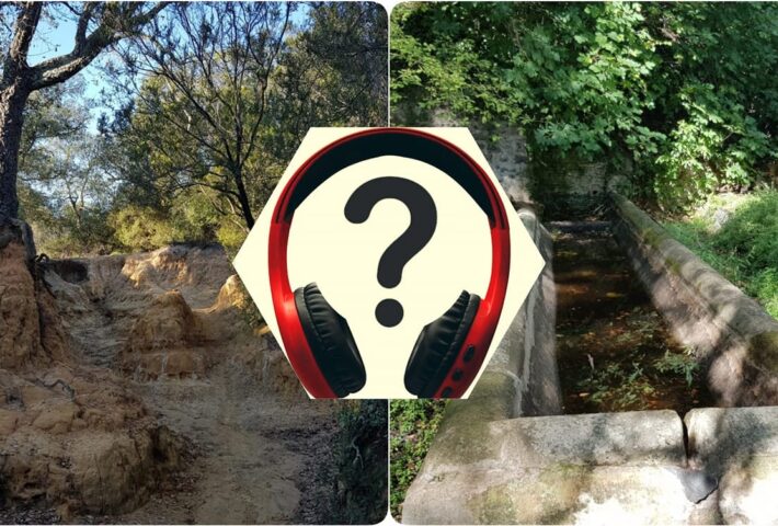 Trekking Urbano al Pineto (Roma)