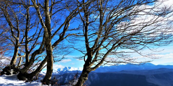 Trekking con Ciaspole tra i faggi dei Simbruini