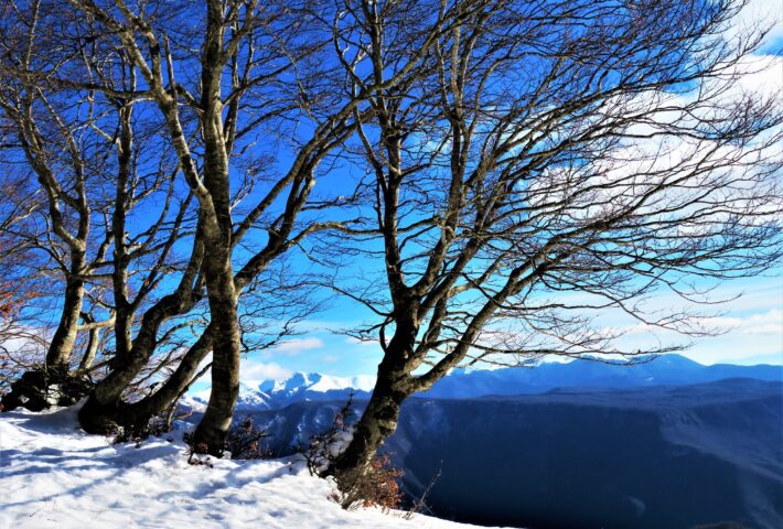 Trekking con Ciaspole tra i faggi dei Simbruini