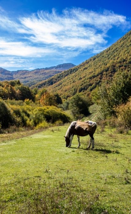 Abruzzo