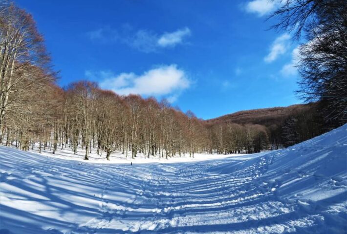 Trekking  ciaspolata – Parco dei Simbruini