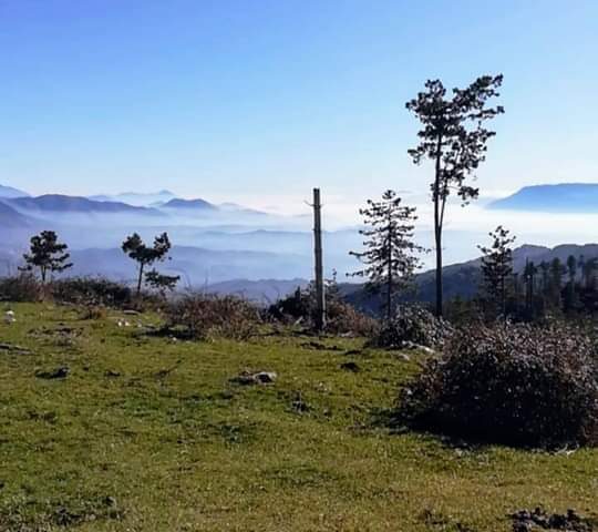 IL GRANDE ANELLO DEI PRENESTINI