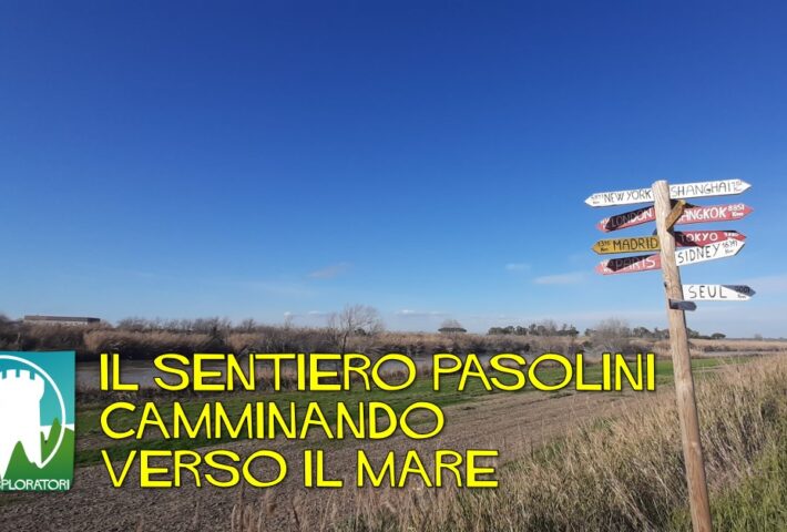 Escursione Sentiero Pasolini