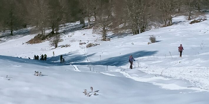 Escursione con ciaspole anello monte Calvo
