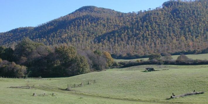 Escursione Castelli Romani