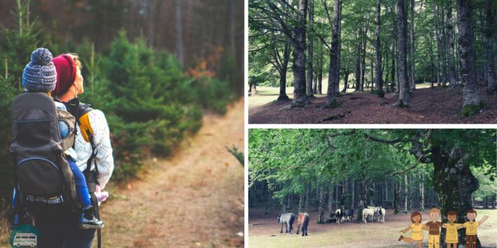 Baby Trekking a Roma- Il sentiero del Volubro