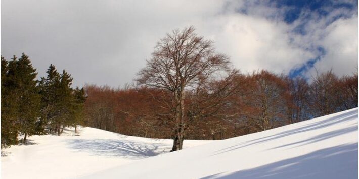 Monti Simbruini: con le ciaspole sul Monte Calvo