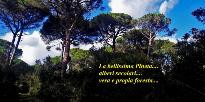 GRANDE TREKKING DI CASTEL FUSANO