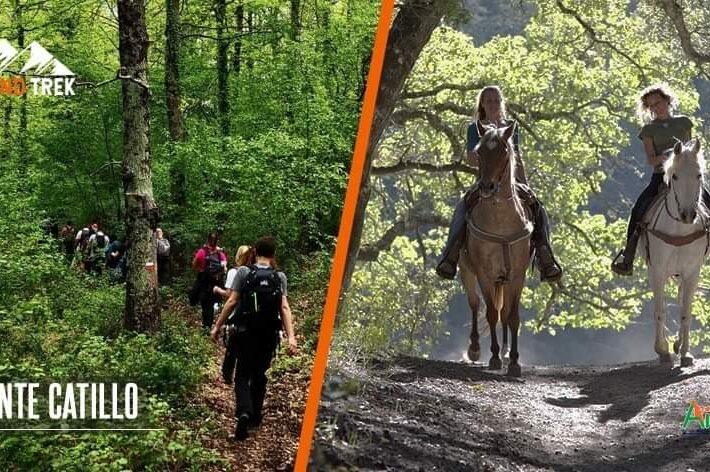 Primavera in Riserva, in Cammino ed a Cavallo