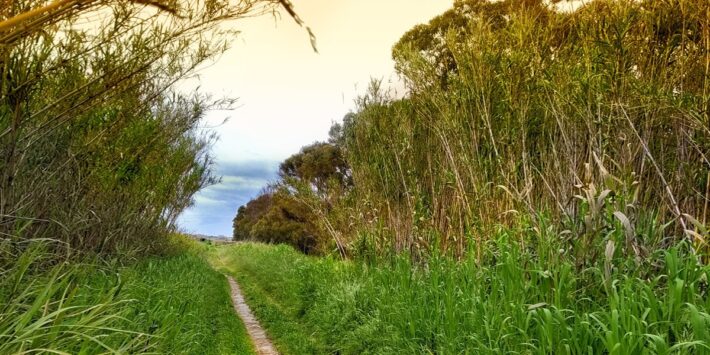 Sentiero Pasolini Parco del litorale romano