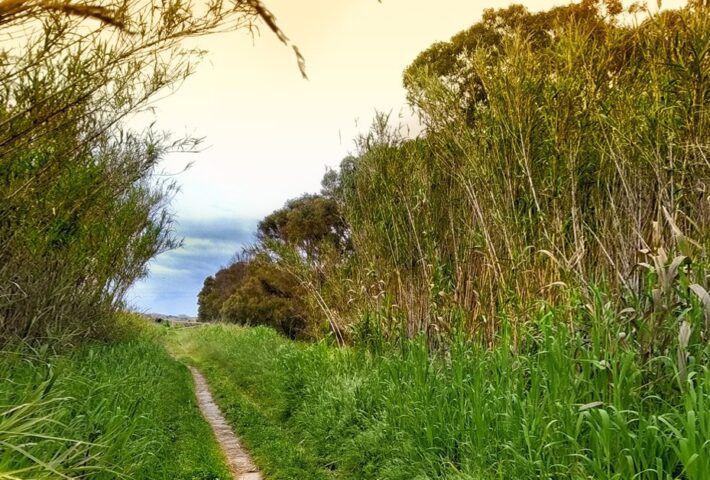 Sentiero Pasolini Parco del litorale romano