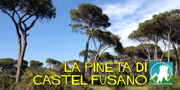 La Pineta di Castel Fusano